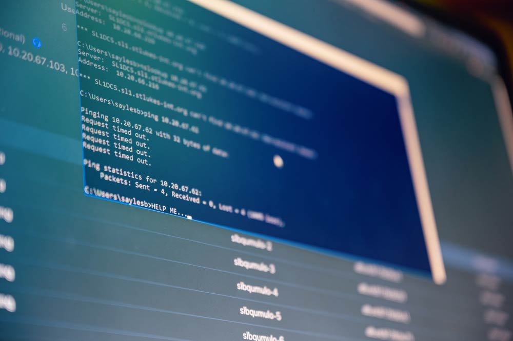 DataViewer Efficient Revision Management